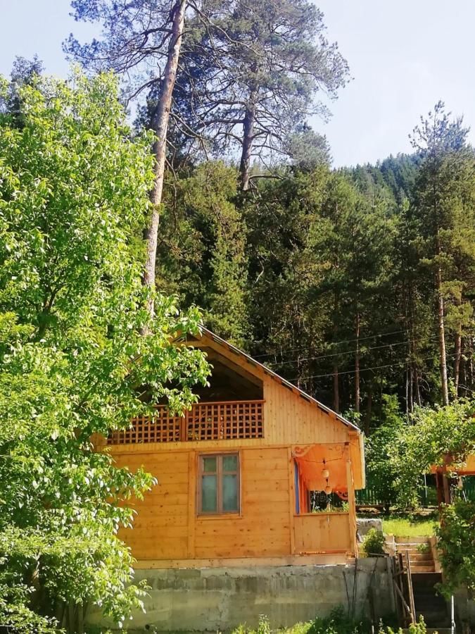 Лоджи Guest House Ilia Боржоми-4