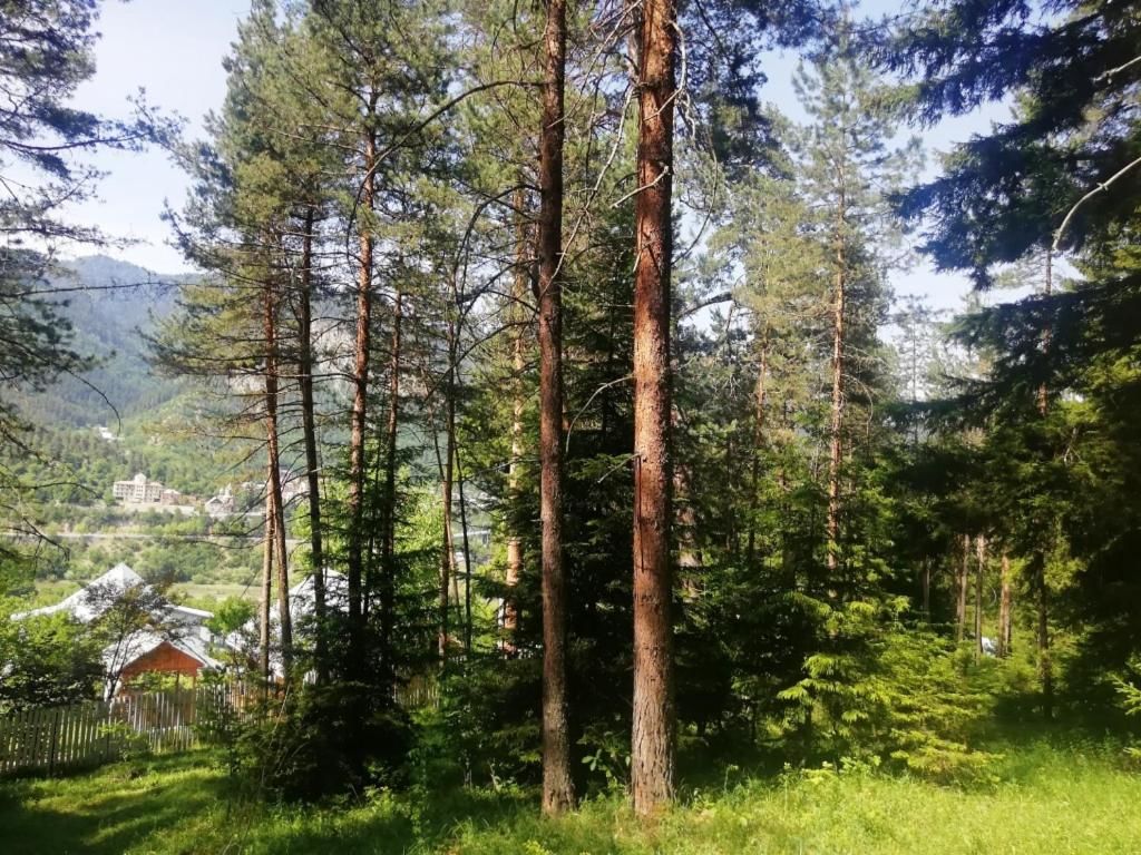 Лоджи Guest House Ilia Боржоми-14