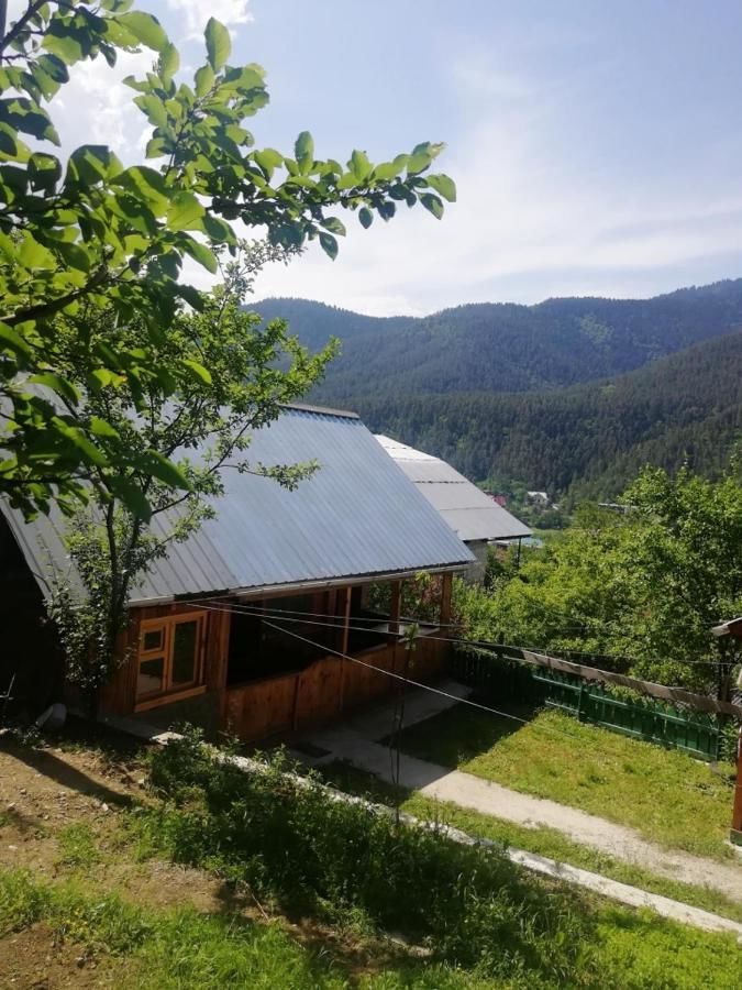 Лоджи Guest House Ilia Боржоми-17