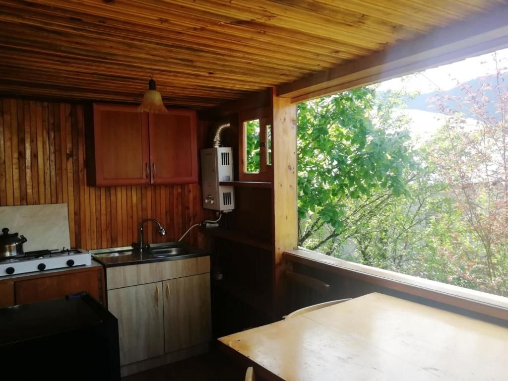 Лоджи Guest House Ilia Боржоми-19