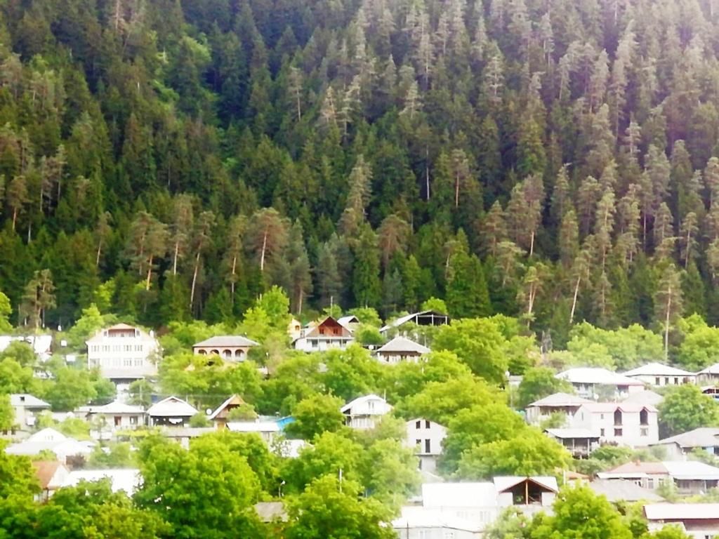 Лоджи Guest House Ilia Боржоми-35