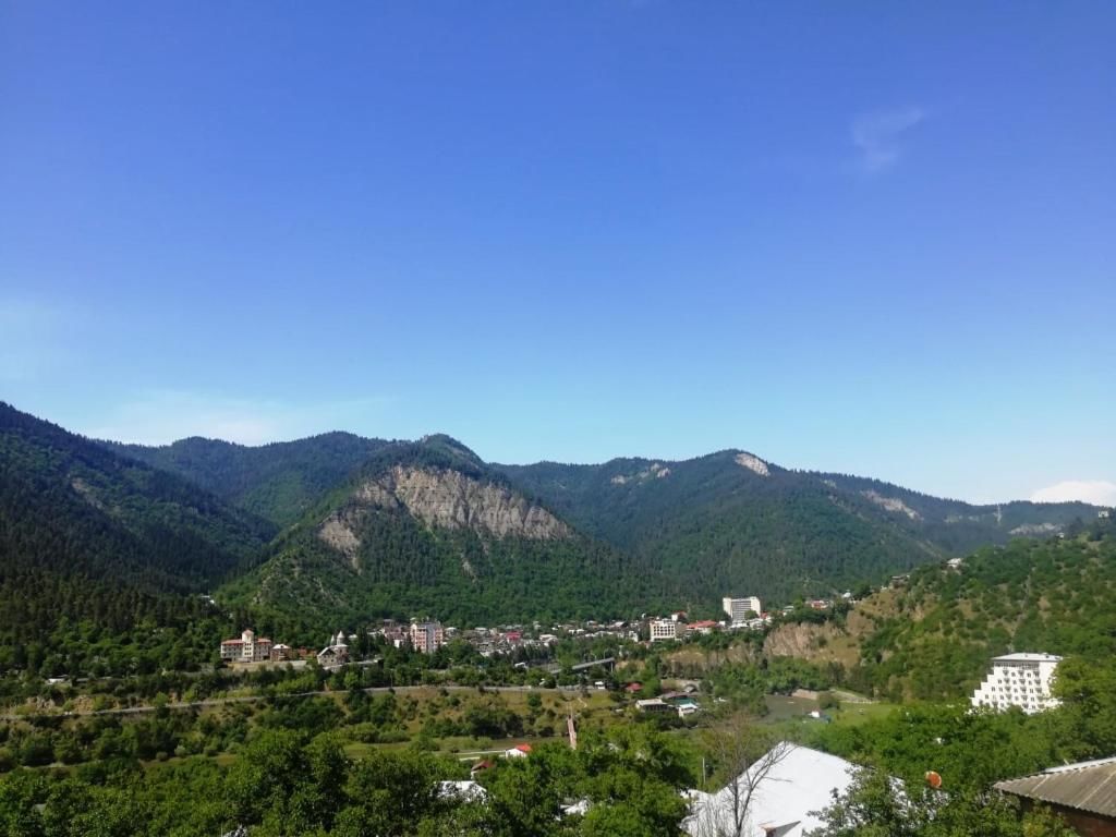Лоджи Guest House Ilia Боржоми