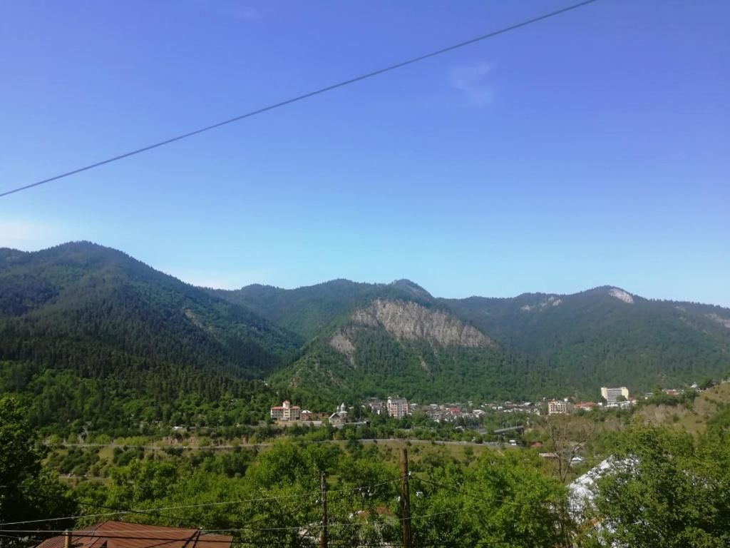 Лоджи Guest House Ilia Боржоми