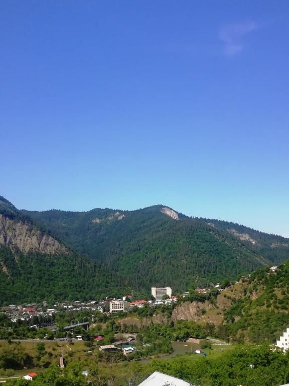 Лоджи Guest House Ilia Боржоми