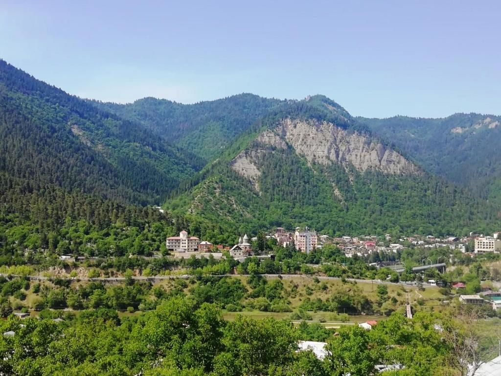 Лоджи Guest House Ilia Боржоми