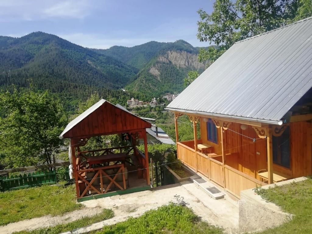 Лоджи Guest House Ilia Боржоми-12