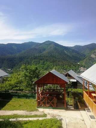 Лоджи Guest House Ilia Боржоми-5