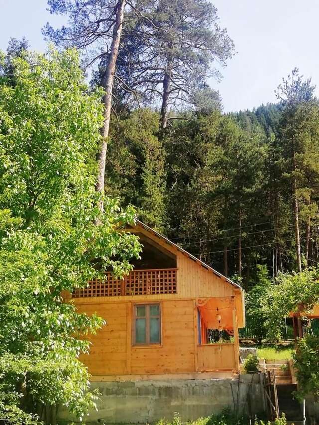 Лоджи Guest House Ilia Боржоми-3