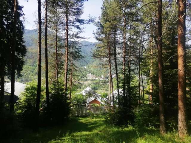 Лоджи Guest House Ilia Боржоми-14