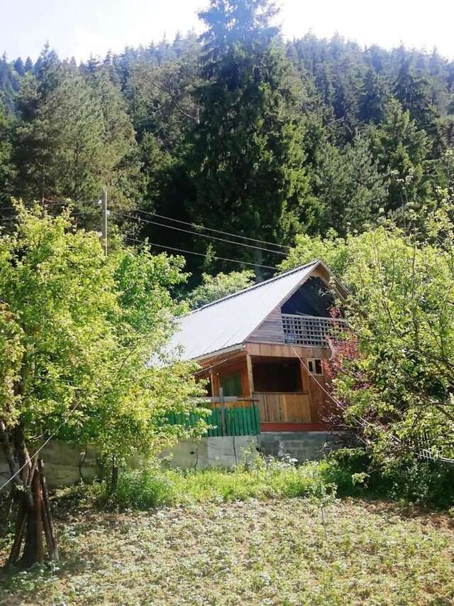 Лоджи Guest House Ilia Боржоми-15