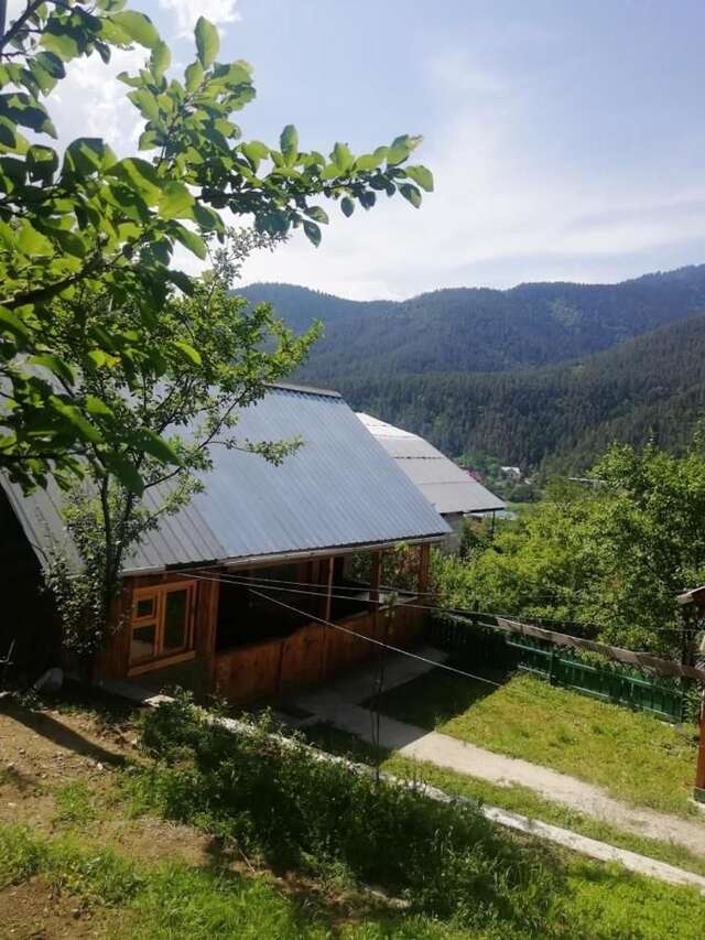 Лоджи Guest House Ilia Боржоми-16