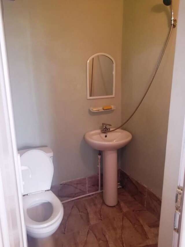 Лоджи Guest House Ilia Боржоми-29
