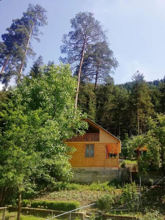 Лоджи Guest House Ilia Боржоми-9